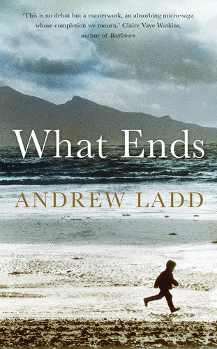 What Ends by Andrew Ladd