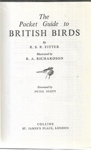 The Pocket Guide To British Birds by R. S. R. Fitter